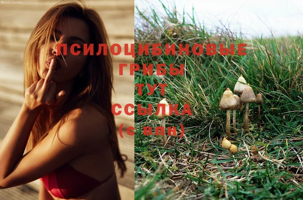 сатива Семилуки