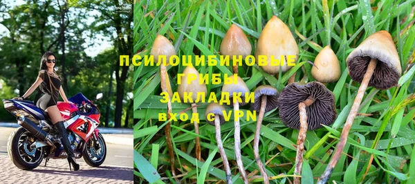 стафф Армянск