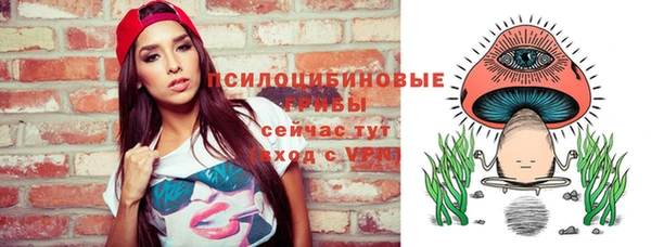 прущая мука Арсеньев