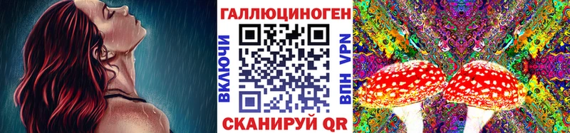 наркота  darknet формула  Псилоцибиновые грибы Psilocybe  Первомайск 